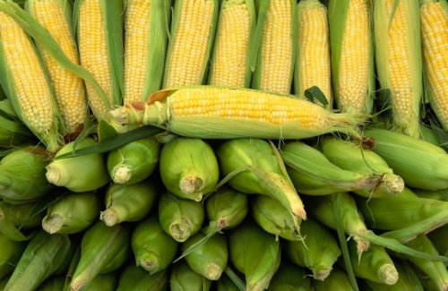 Agricultural Trade